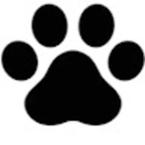 Meet your Posher, Limas